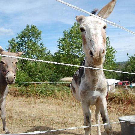 Camping La Foret Du Morvan Larochemillay Dış mekan fotoğraf