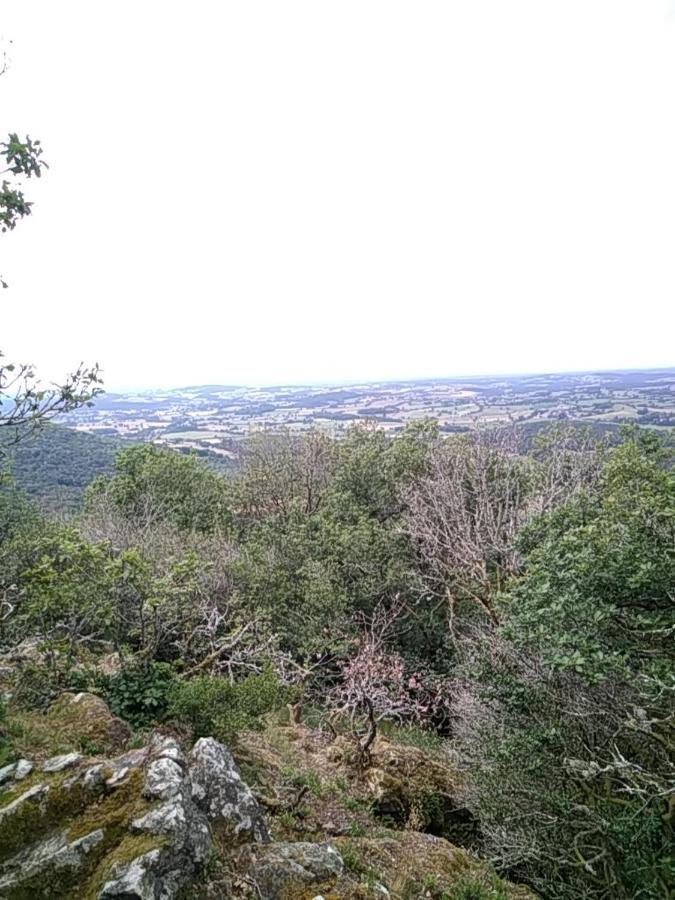 Camping La Foret Du Morvan Larochemillay Dış mekan fotoğraf